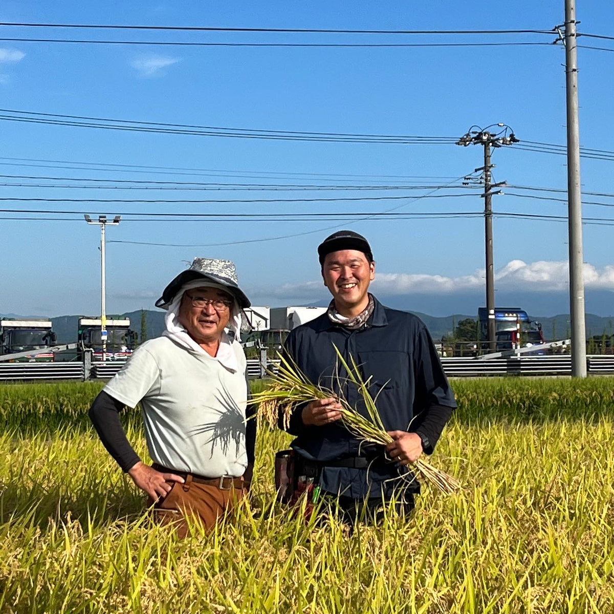 30kg玄米コシヒカリ(令和7年度米)