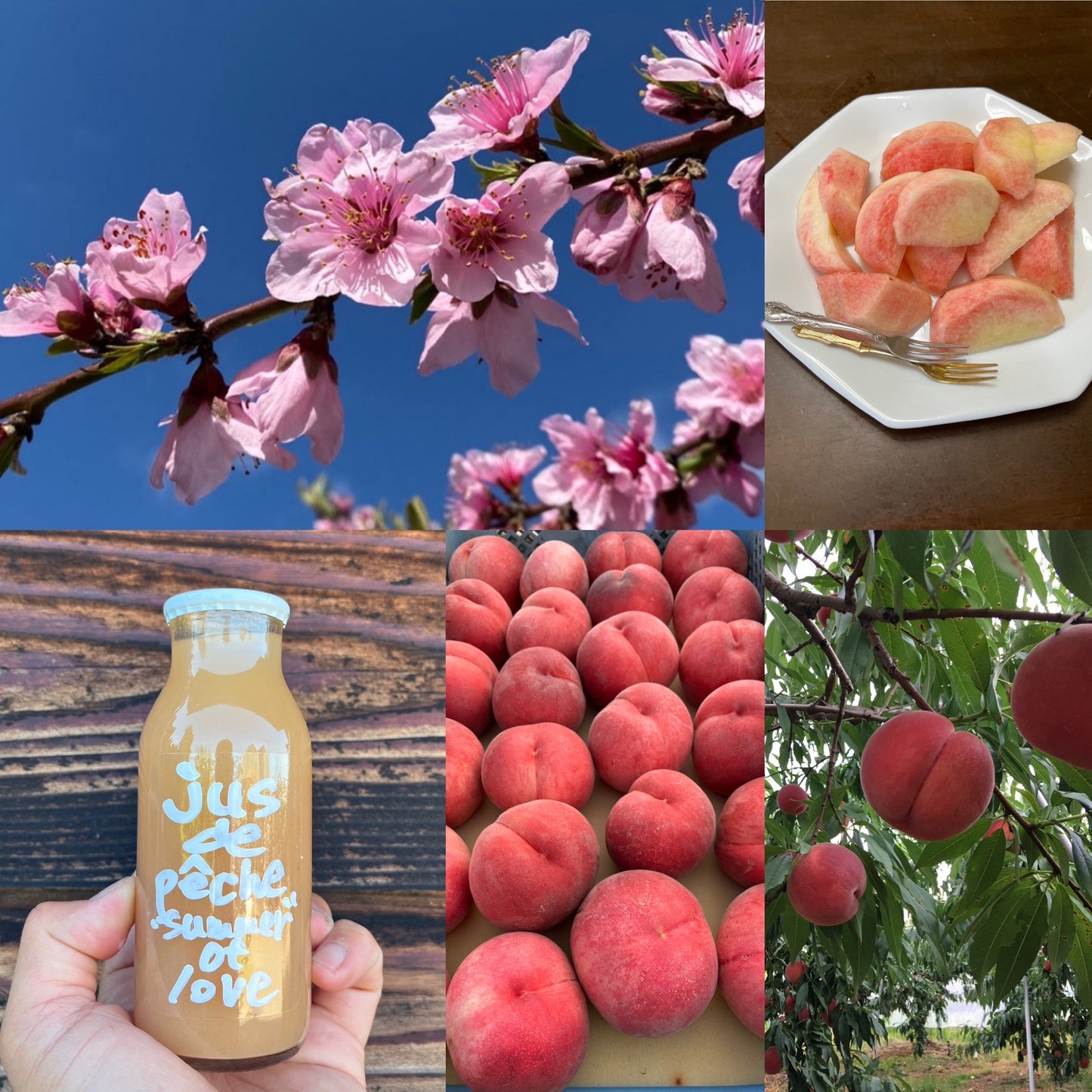 新潟白根桃ジュース　「サマーオブラブ」180ml