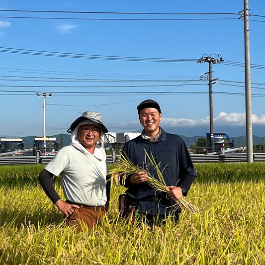 30kg玄米コシヒカリ(令和7年度米)